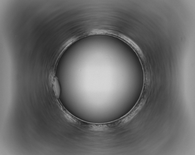 X0000116570809200912101002