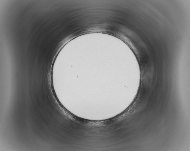 X0000116570810200912101002