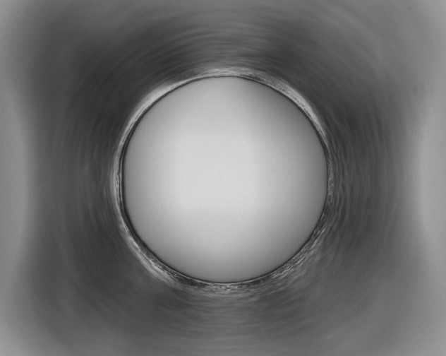 X0000116570811200912101002