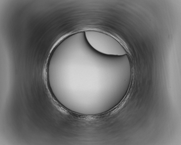 X0000116570814200912101002