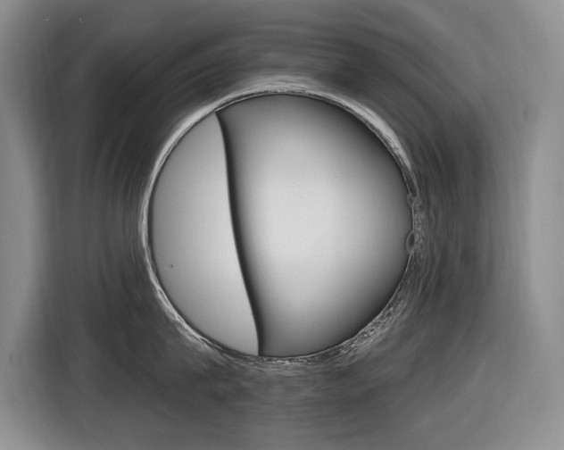 X0000116570815200912101002