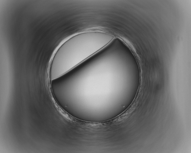 X0000116570816200912101002