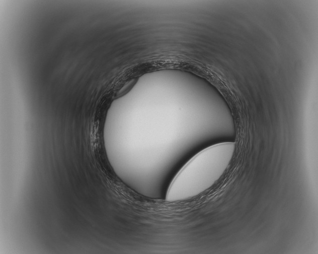 X0000116570818200912101001