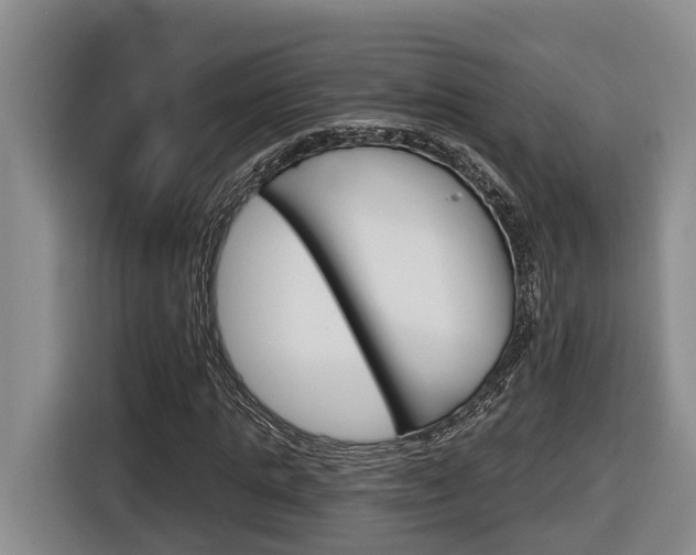 X0000116570821200912101001