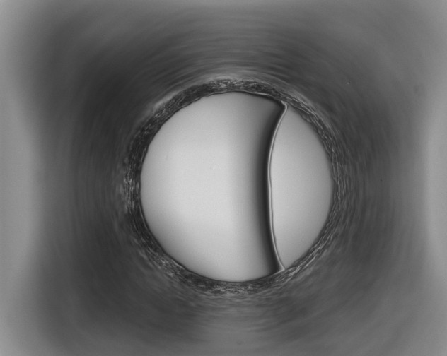 X0000116570822200912101001