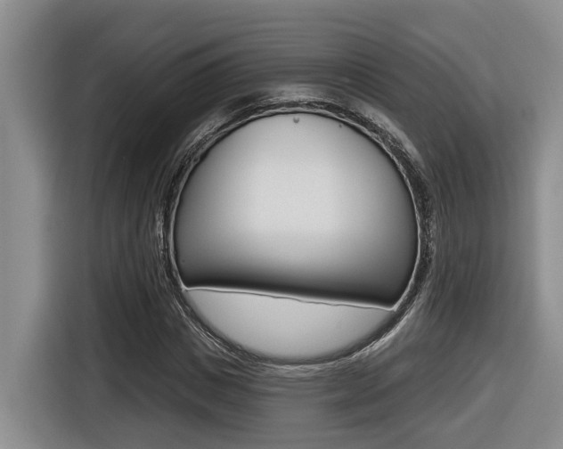 X0000116570825200912101001