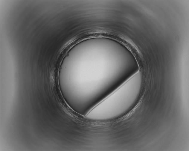 X0000116570826200912101001