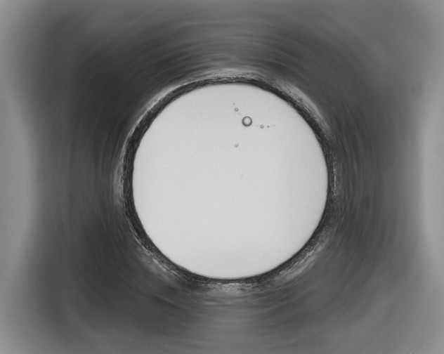 X0000116570828200912101001