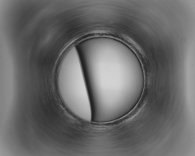 X0000116570829200912101002