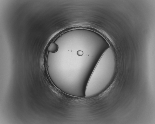 X0000116570830200912101002