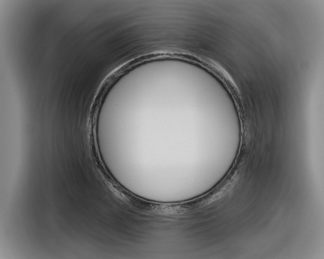 X0000116570831200912101002