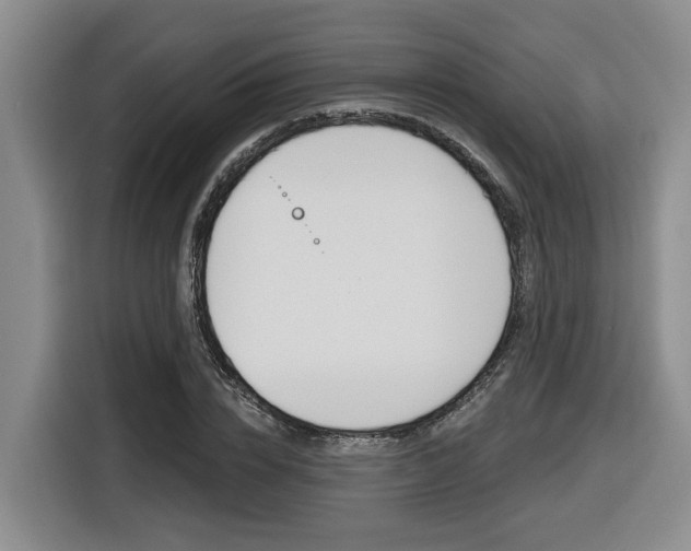 X0000116570832200912101002