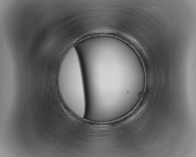 X0000116570833200912101002