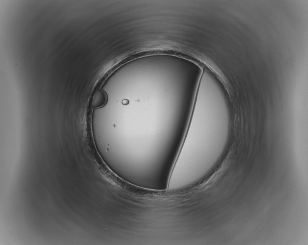 X0000116570834200912101002