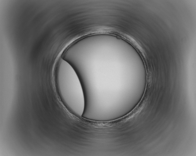 X0000116570835200912101002