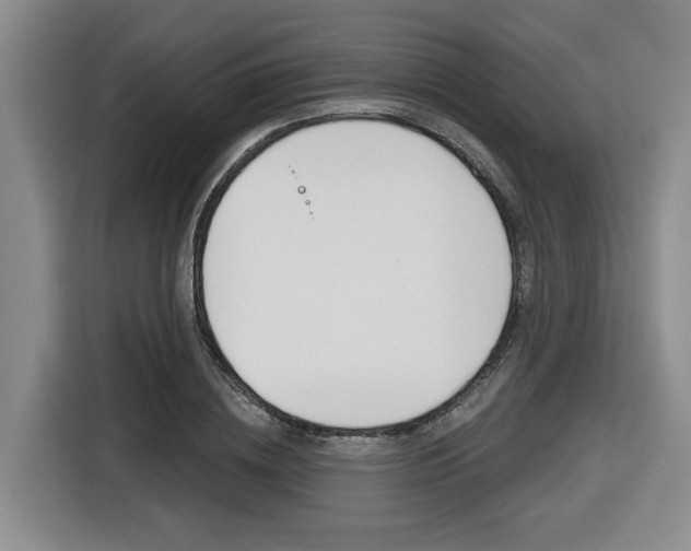 X0000116570836200912101002