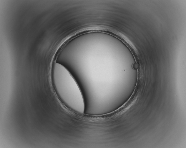 X0000116570837200912101002