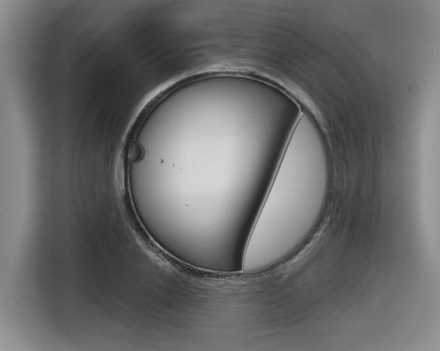 X0000116570838200912101002