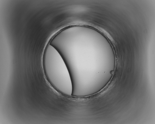 X0000116570839200912101002