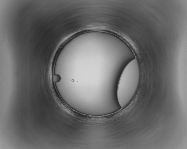 X0000116570840200912101002