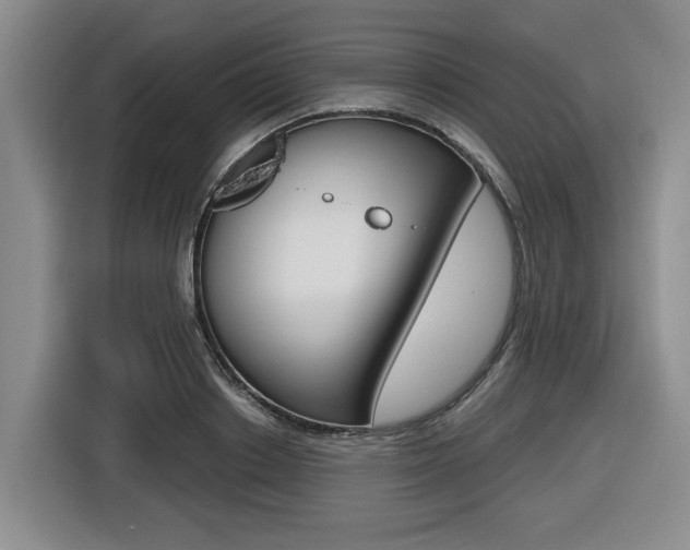 X0000116570842200912101002