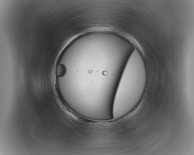 X0000116570844200912101002