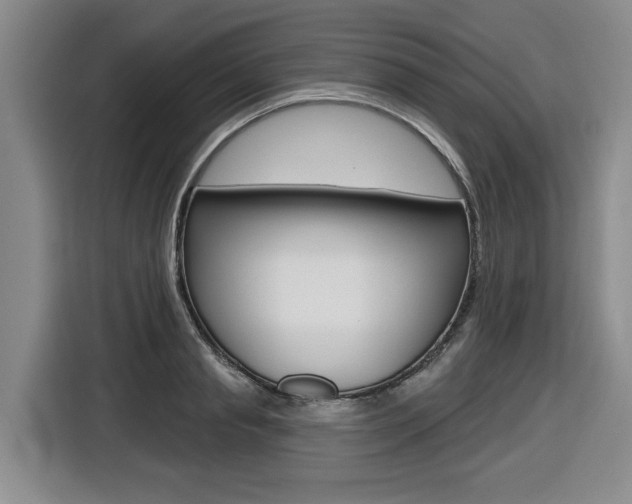 X0000116570845200912101002