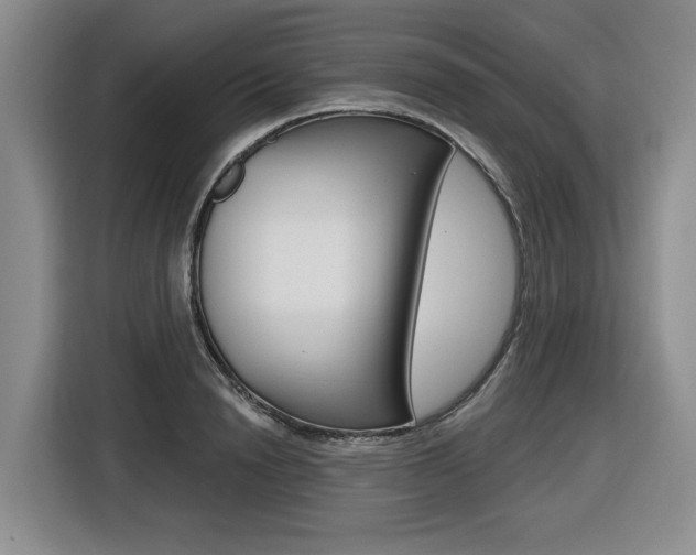 X0000116570846200912101002