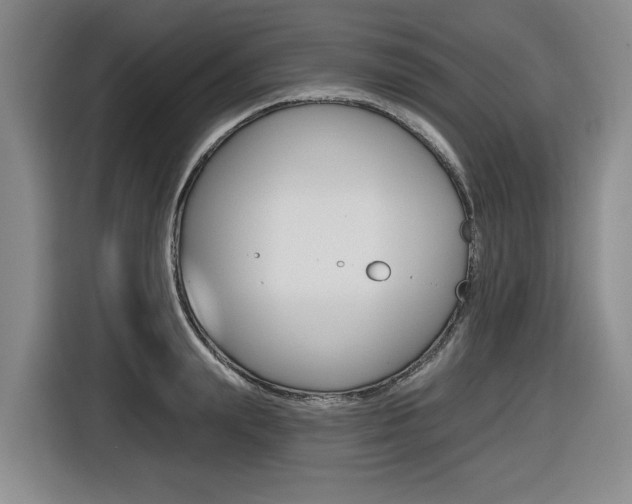 X0000116570847200912101002