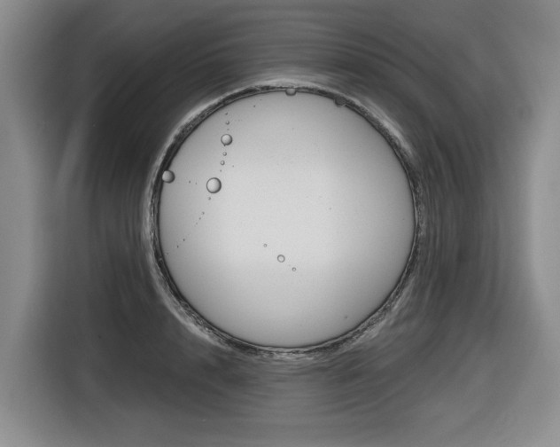 X0000116570848200912101002