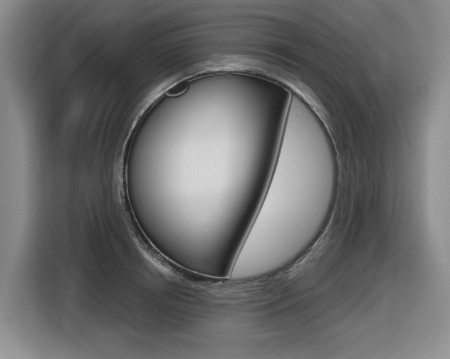 X0000116570850200912101002