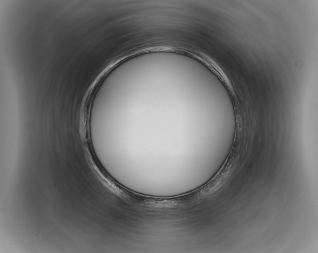 X0000116570851200912101002