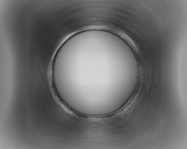 X0000116570852200912101002