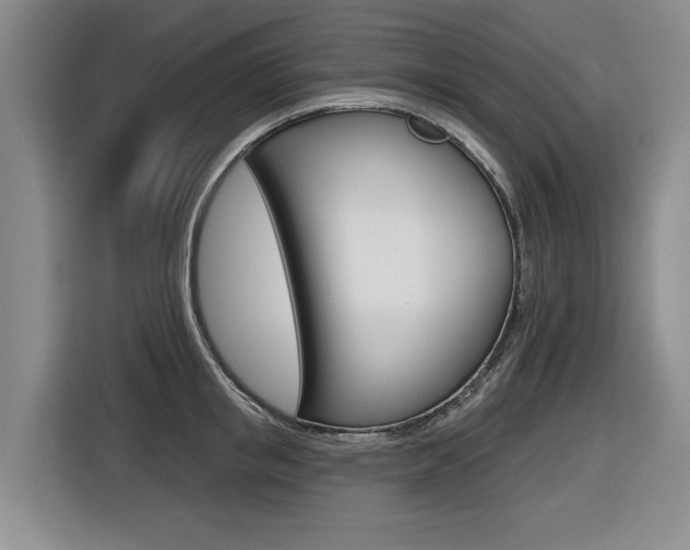 X0000116570853200912101002