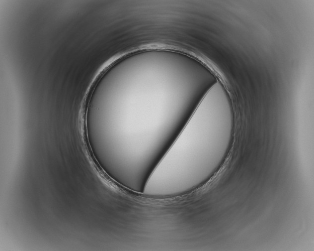 X0000116570854200912101002