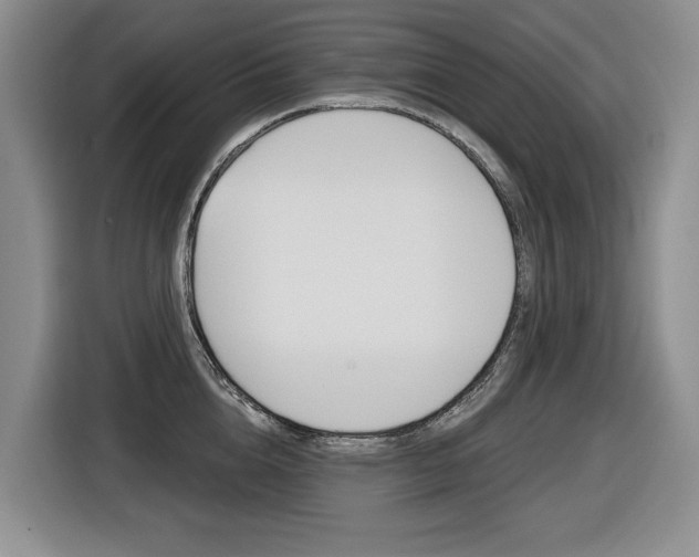 X0000116570856200912101002