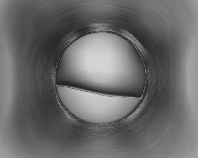 X0000116570857200912101002