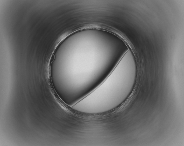 X0000116570858200912101002