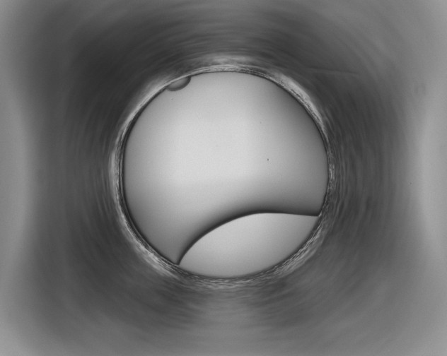 X0000116570859200912101002