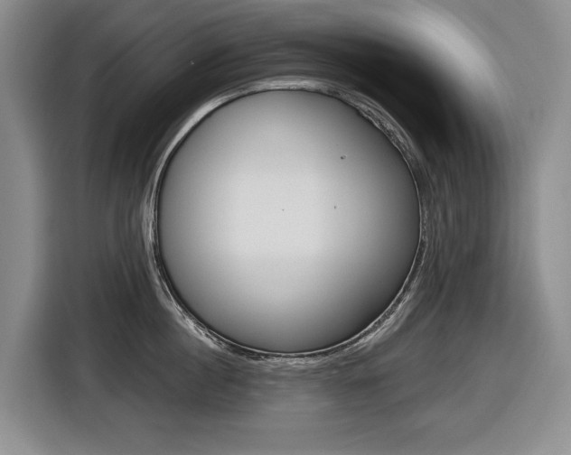 X0000116570860200912101002