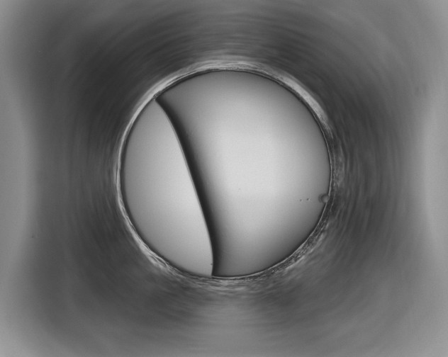 X0000116570861200912101002