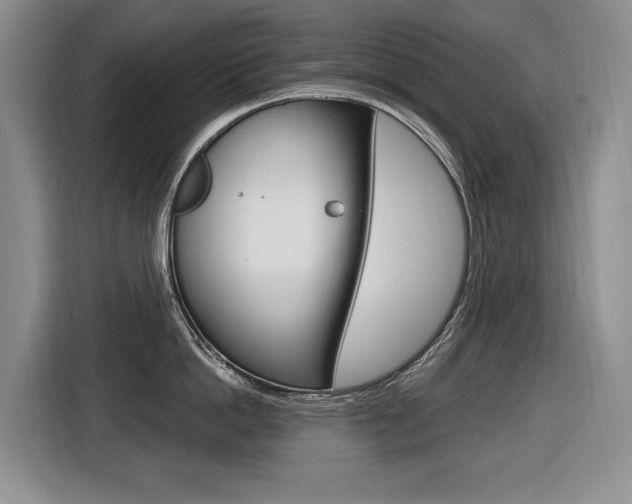 X0000116570862200912101002