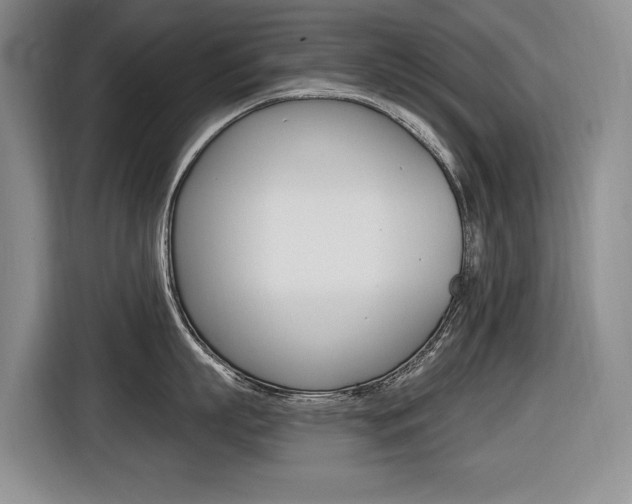 X0000116570863200912101002