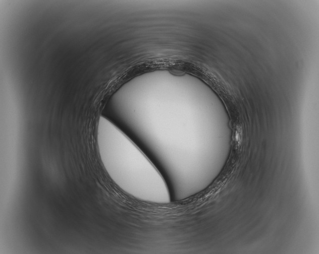 X0000116570867200912101001