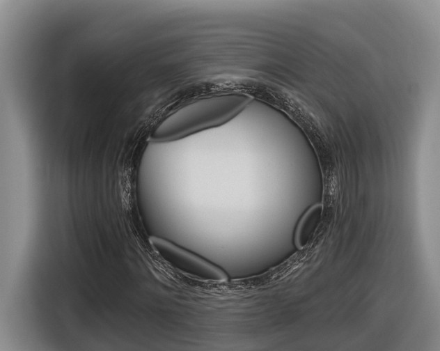 X0000116570868200912101001