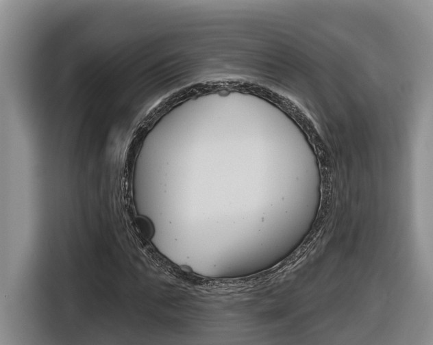 X0000116570871200912101001