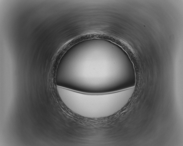 X0000116570872200912101001