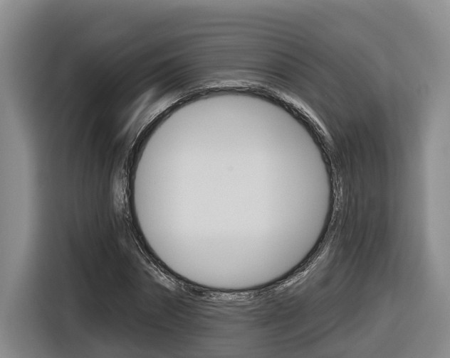 X0000116570874200912101001