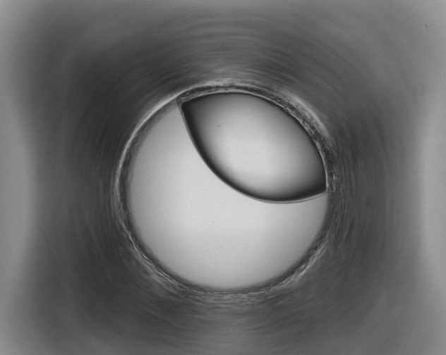 X0000116570876200912101001