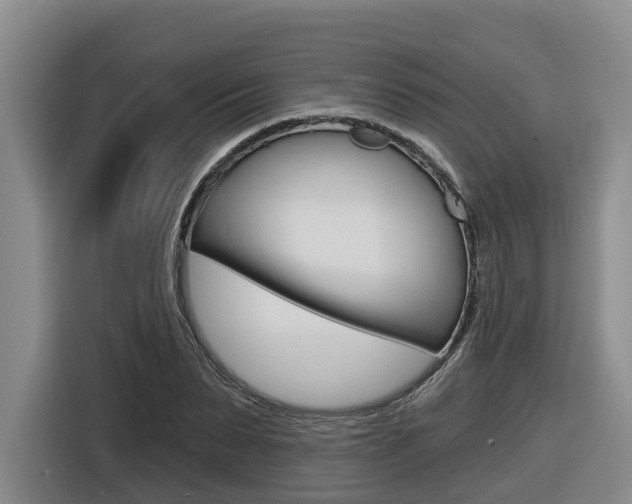 X0000116570879200912101001